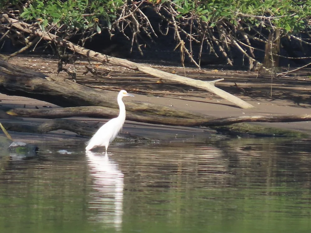 IMG_3439 2025 11.jPG