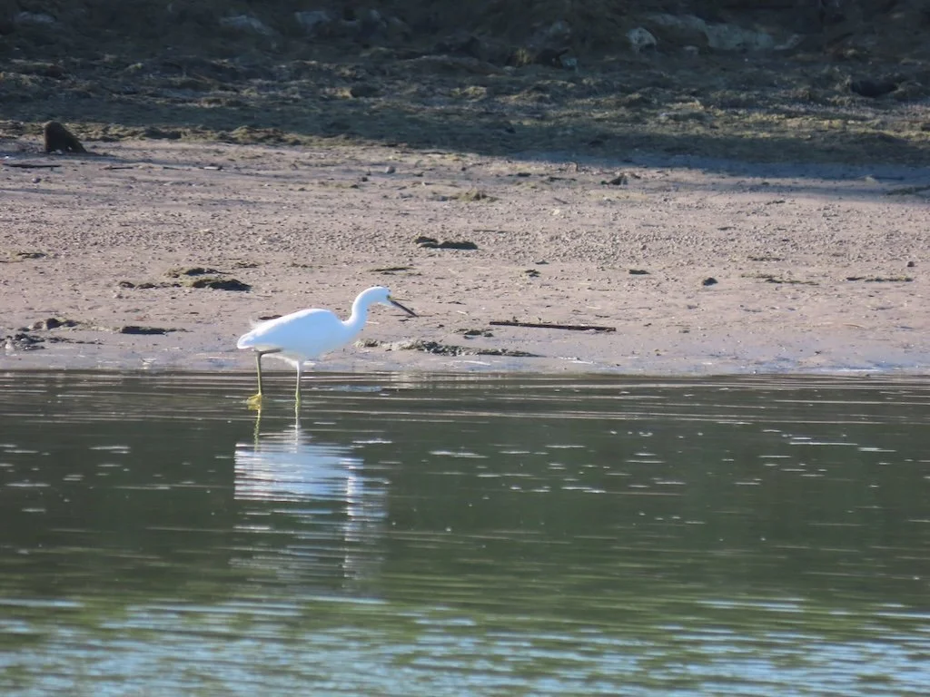 IMG_3486 2025 11.jPG