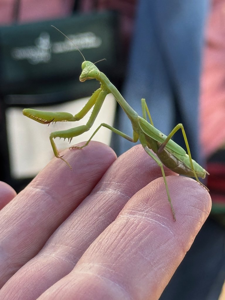 IMG_0338 2025 11.jpeg