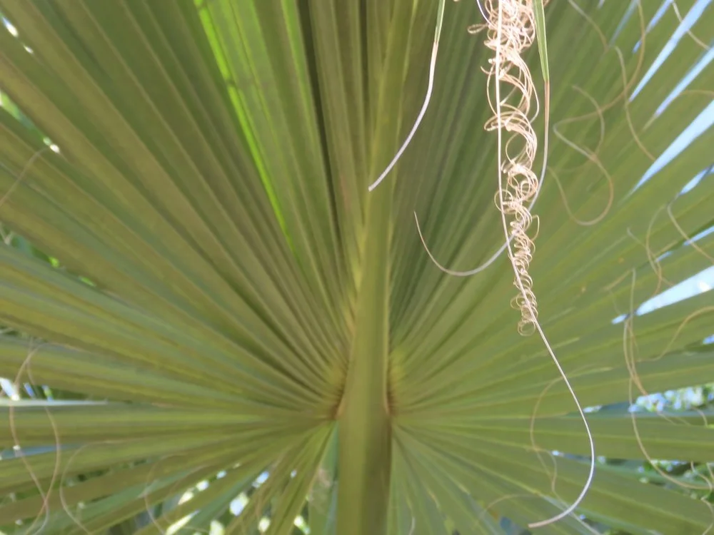 IMG_3573 2025 11.jPG