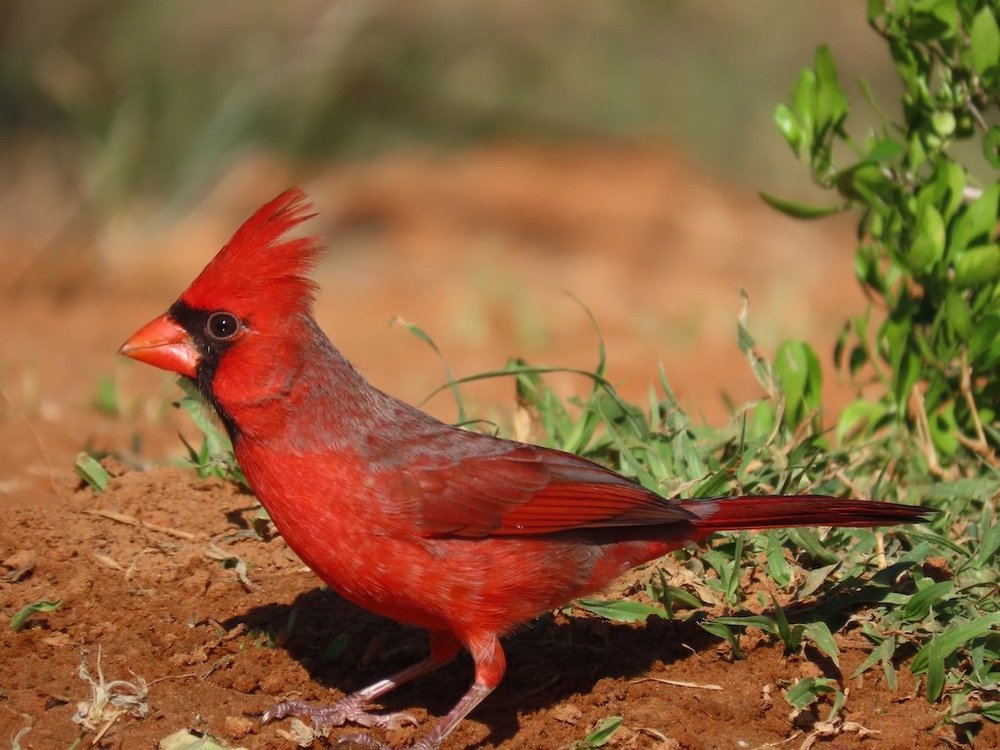 IMG_3764 2025 11.jPG