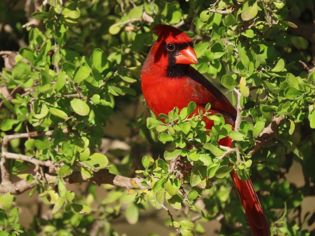 IMG_3770 2025 11.jPG