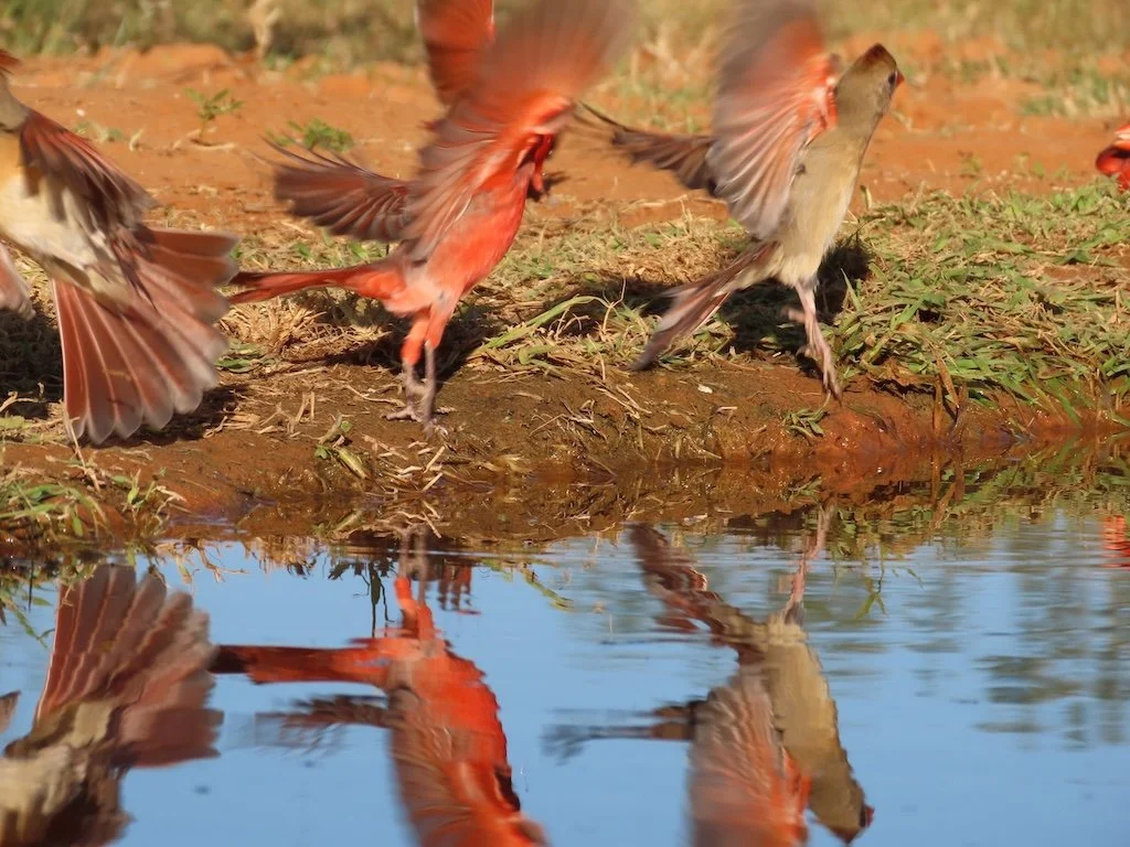 IMG_3993 2025 11.jPG