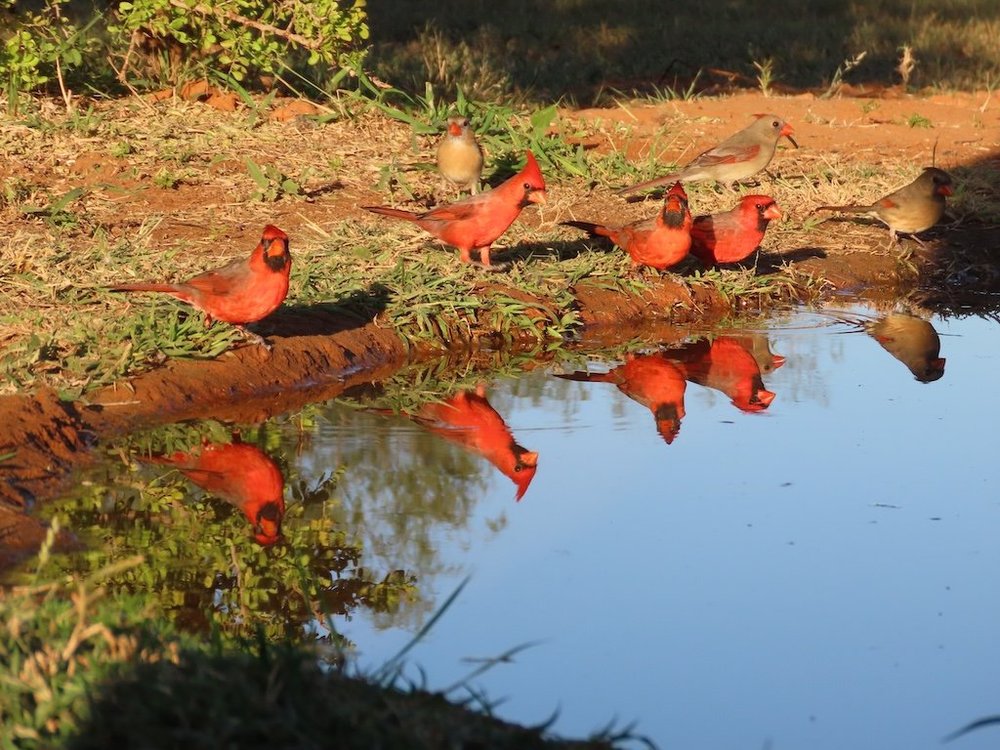 IMG_4049 2025 11.jPG