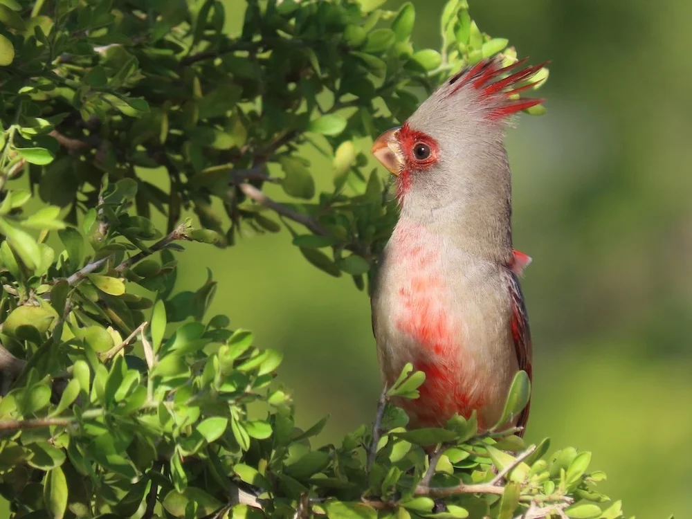 IMG_3881 2025 11.jPG