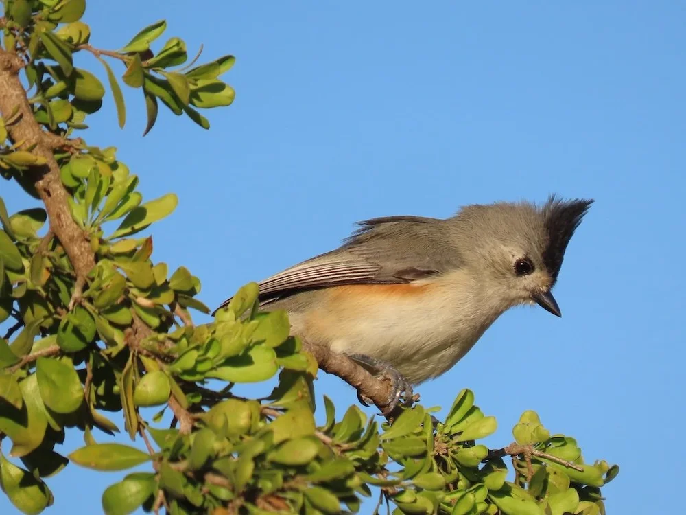 IMG_4027 2025 11.jPG