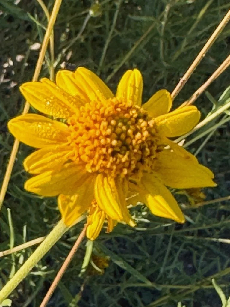 IMG_0361 2025 11.jpeg