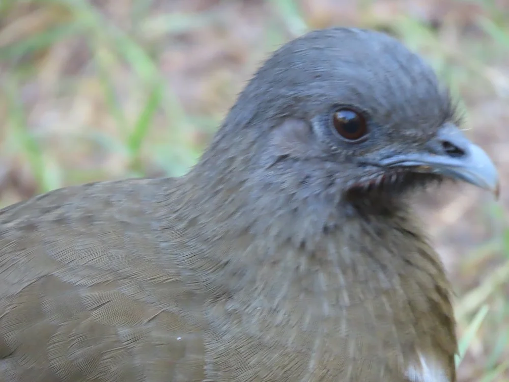 IMG_4514 2025 11.jPG