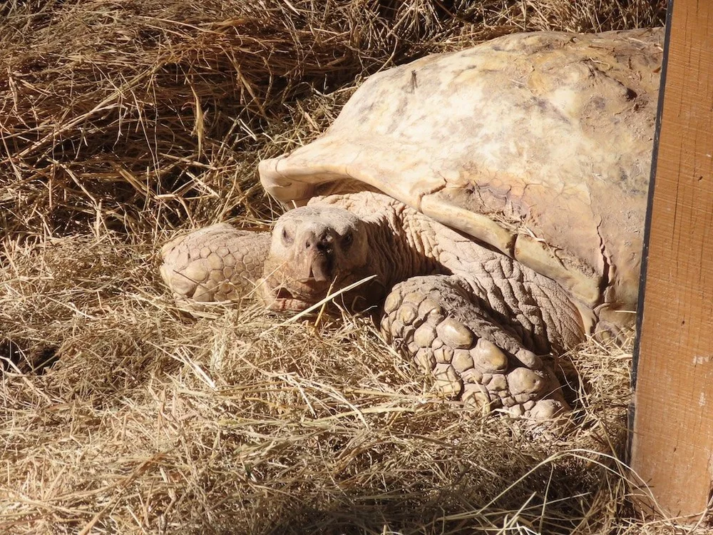 IMG_4668 2025 11.jPG