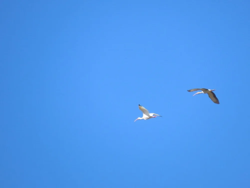 IMG_4795 2025 11.jPG