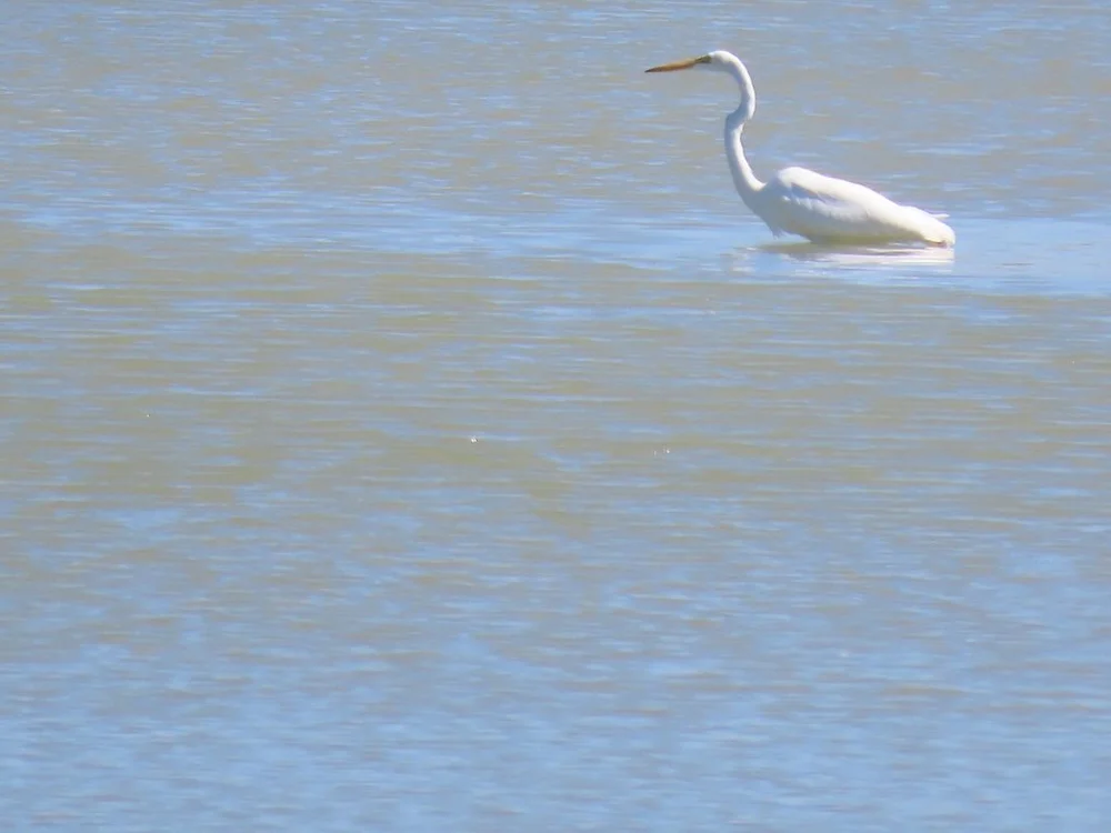 IMG_4817 2025 11.jPG