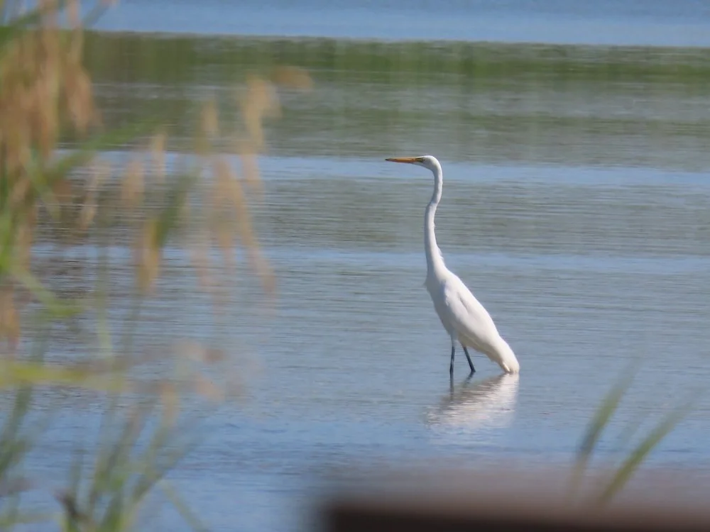 IMG_4854 2025 11.jPG