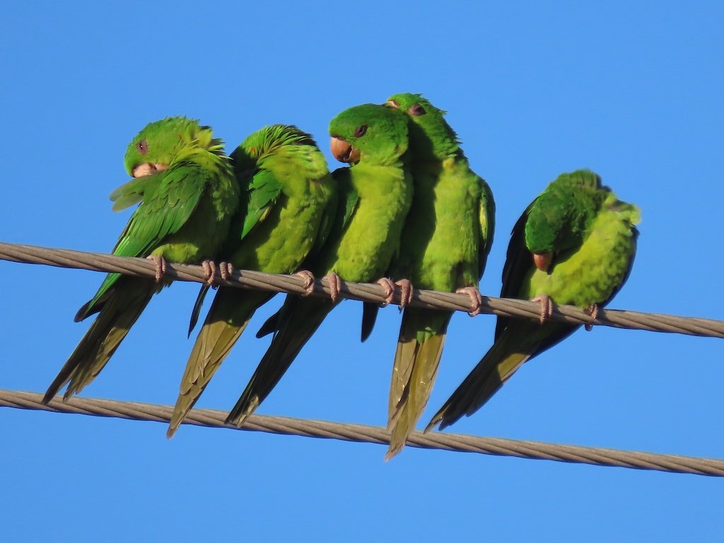 IMG_4932 2025 11.jPG