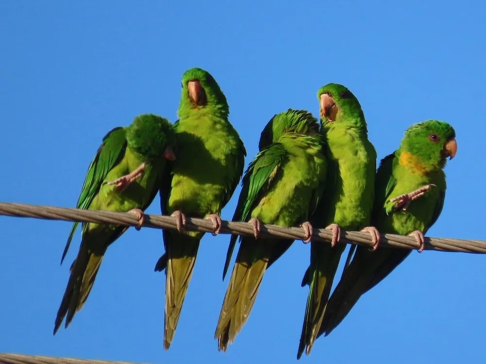 IMG_4992 2025 11.jPG