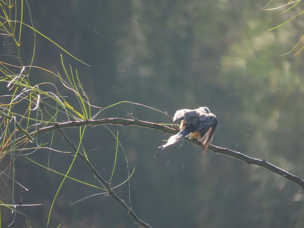 IMG_5390 2025 11.jPG