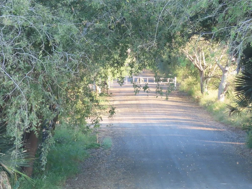 IMG_5115 2025 11.jPG