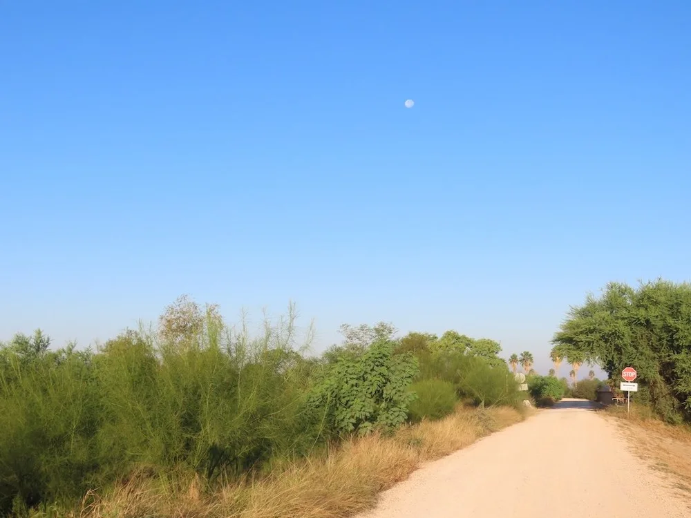 IMG_5116 2025 11.jPG