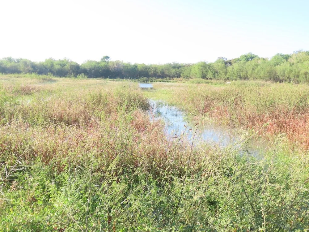 IMG_5139 2025 11.jPG