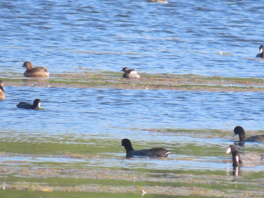 IMG_5190 2025 11.jPG