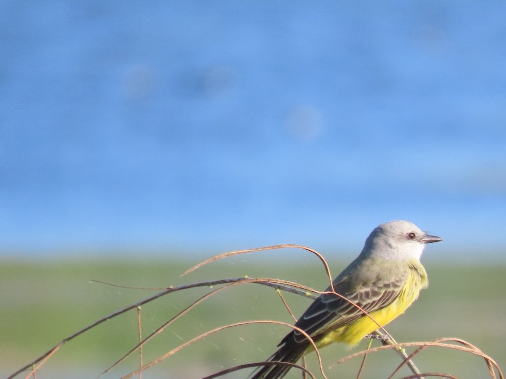 IMG_5274 2025 11.jPG