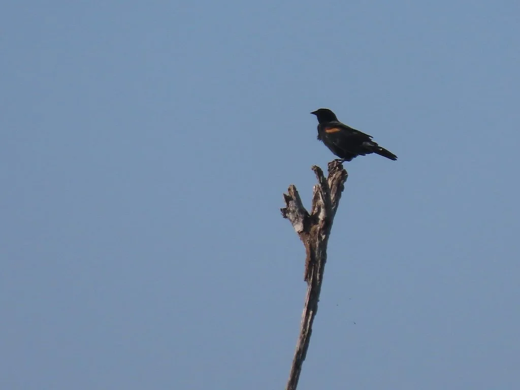 IMG_5366 2025 11.jPG