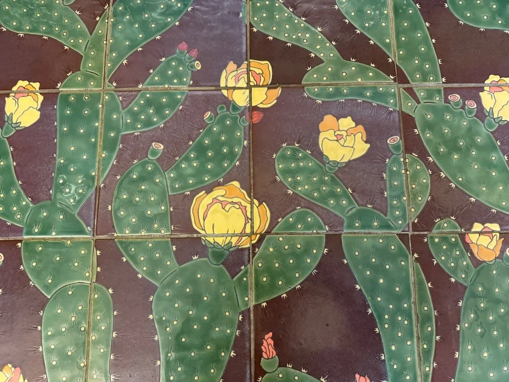 IMG_0543 2025 11.jpeg