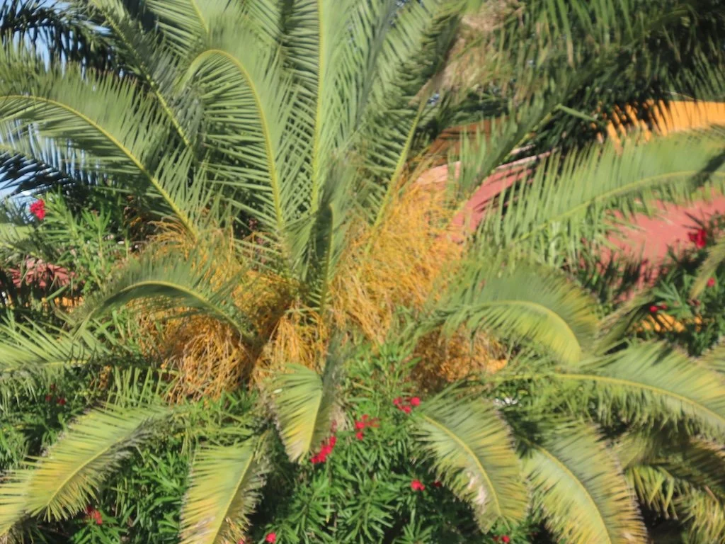 IMG_3371 2025 11.jPG