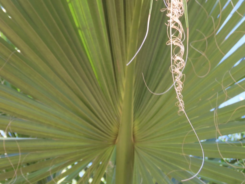 IMG_3573 2025 11.jPG