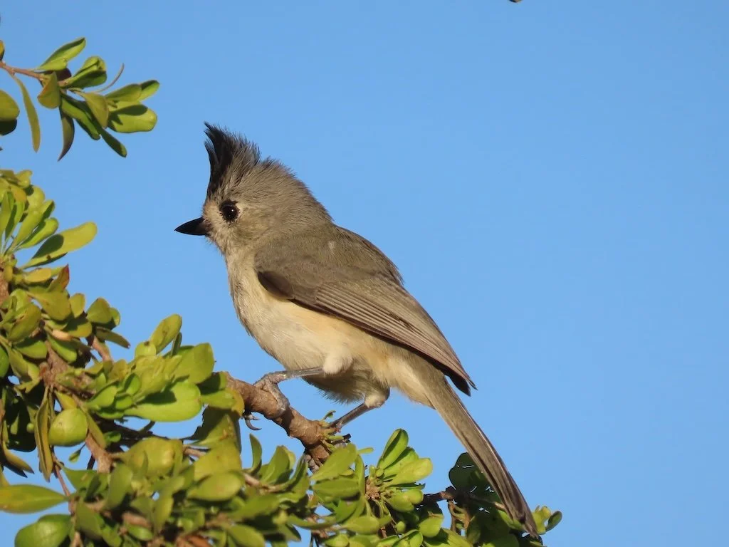 IMG_4024 2025 11.jPG