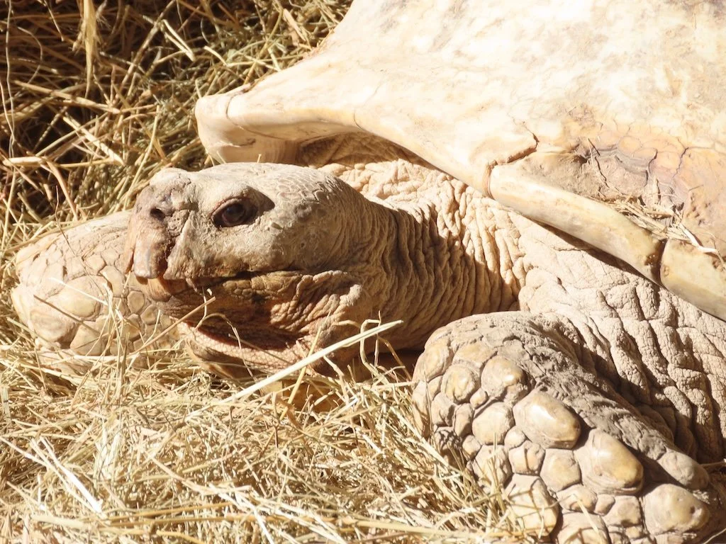 IMG_4678 2025 11.jPG