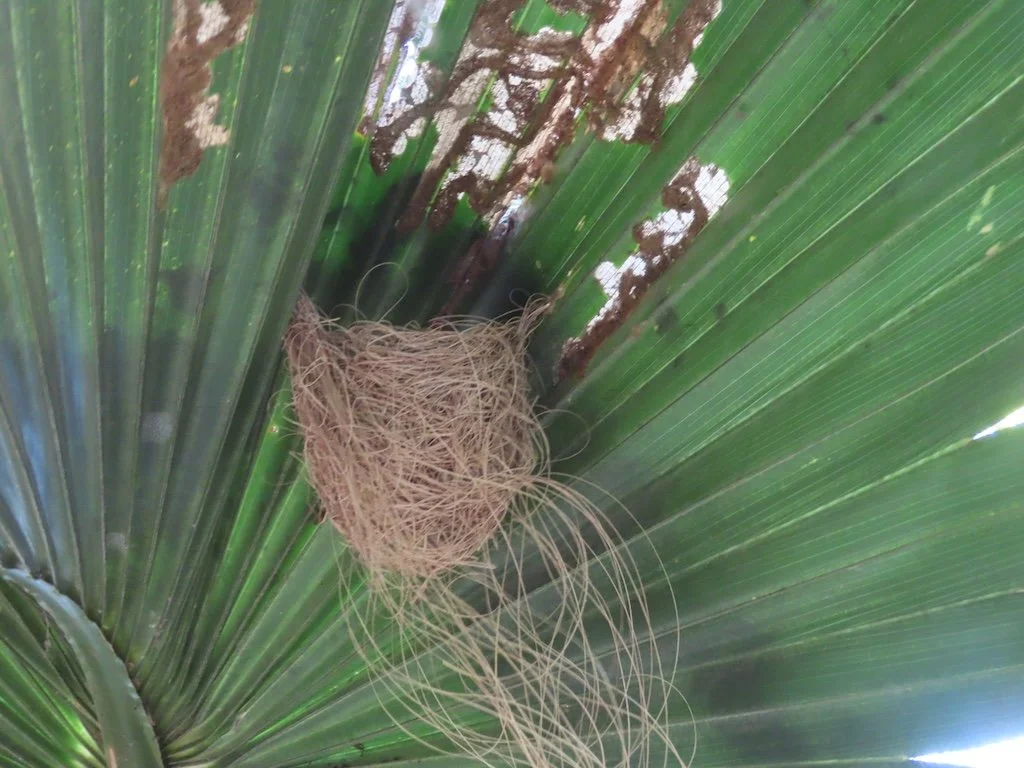 IMG_5539 2025 11.jPG