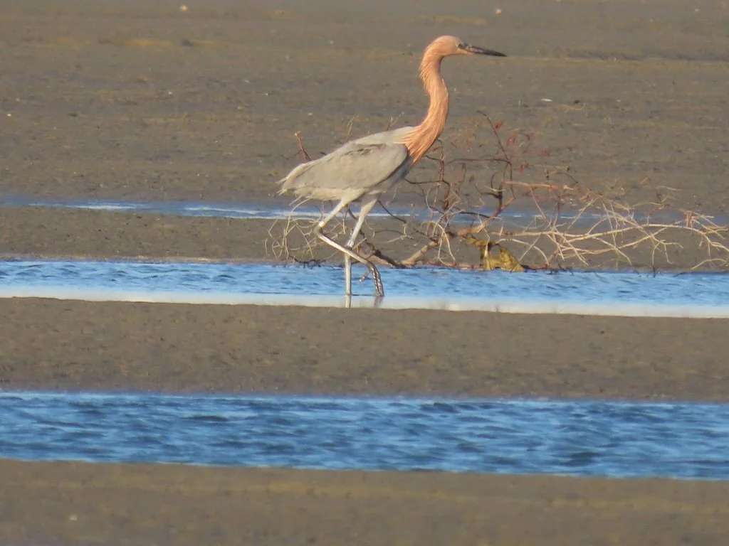 IMG_6404 2025 11.jPG