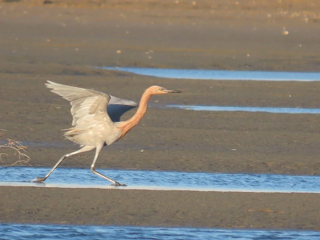 IMG_6407 2025 11.jPG