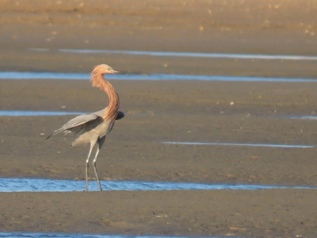 IMG_6411 2025 11.jPG