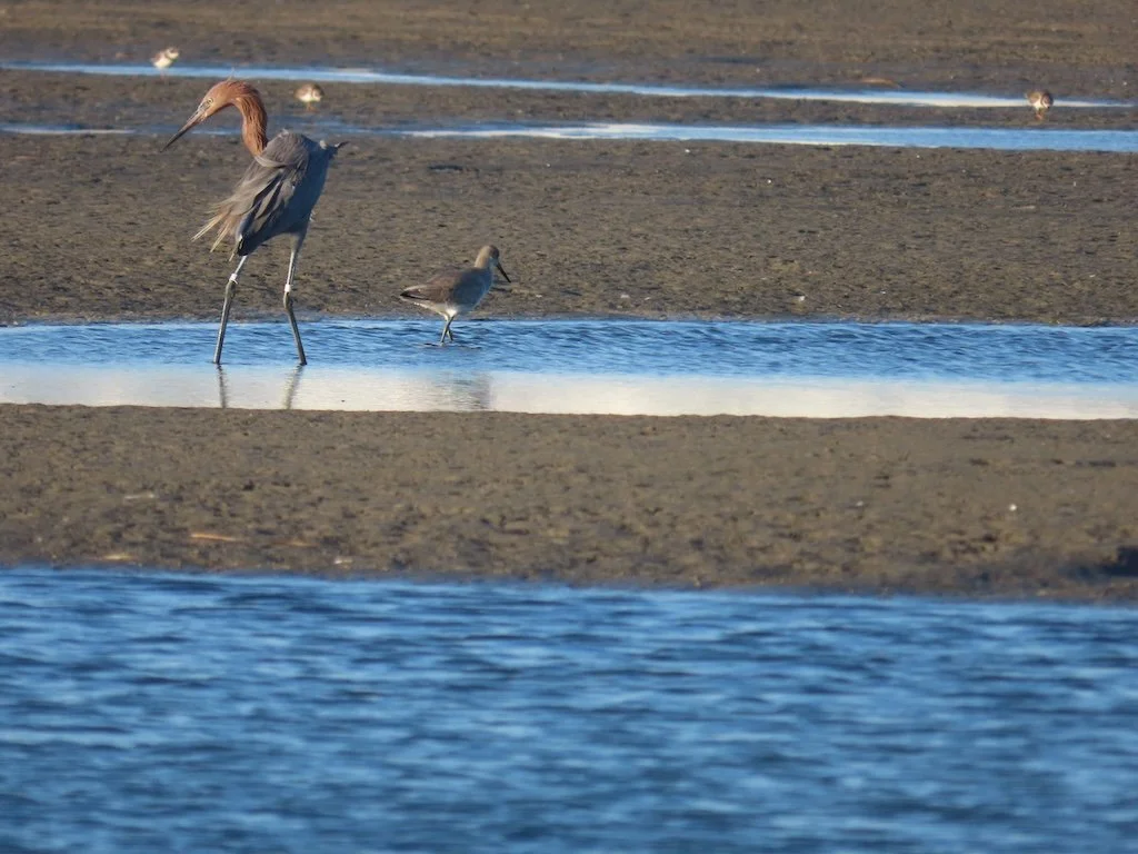 IMG_6436 2025 11.jPG