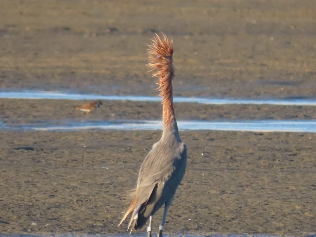 IMG_6438 2025 11.jPG