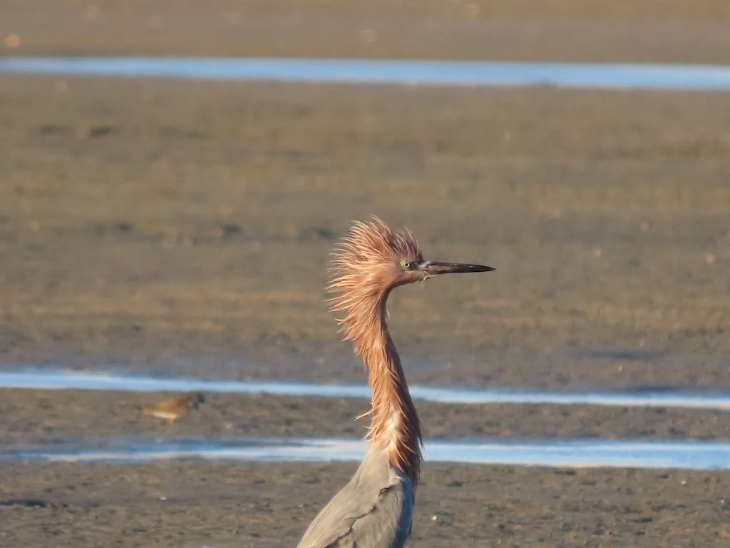 IMG_6444 2025 11.jPG