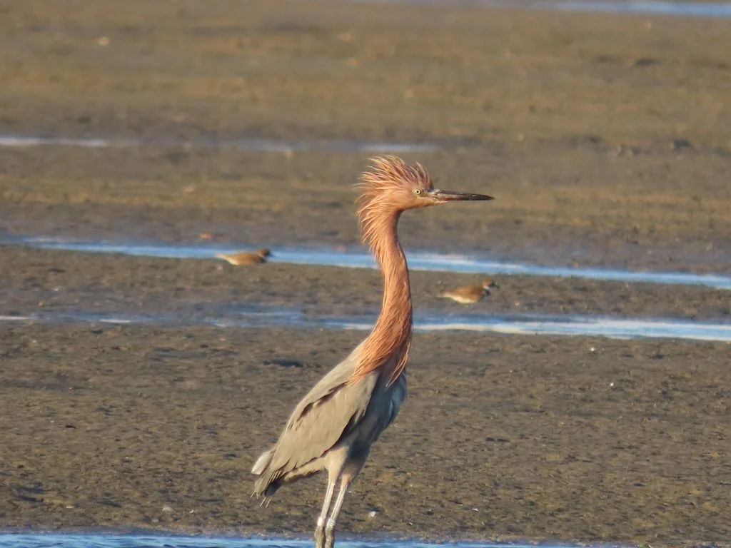 IMG_6452 2025 11.jPG