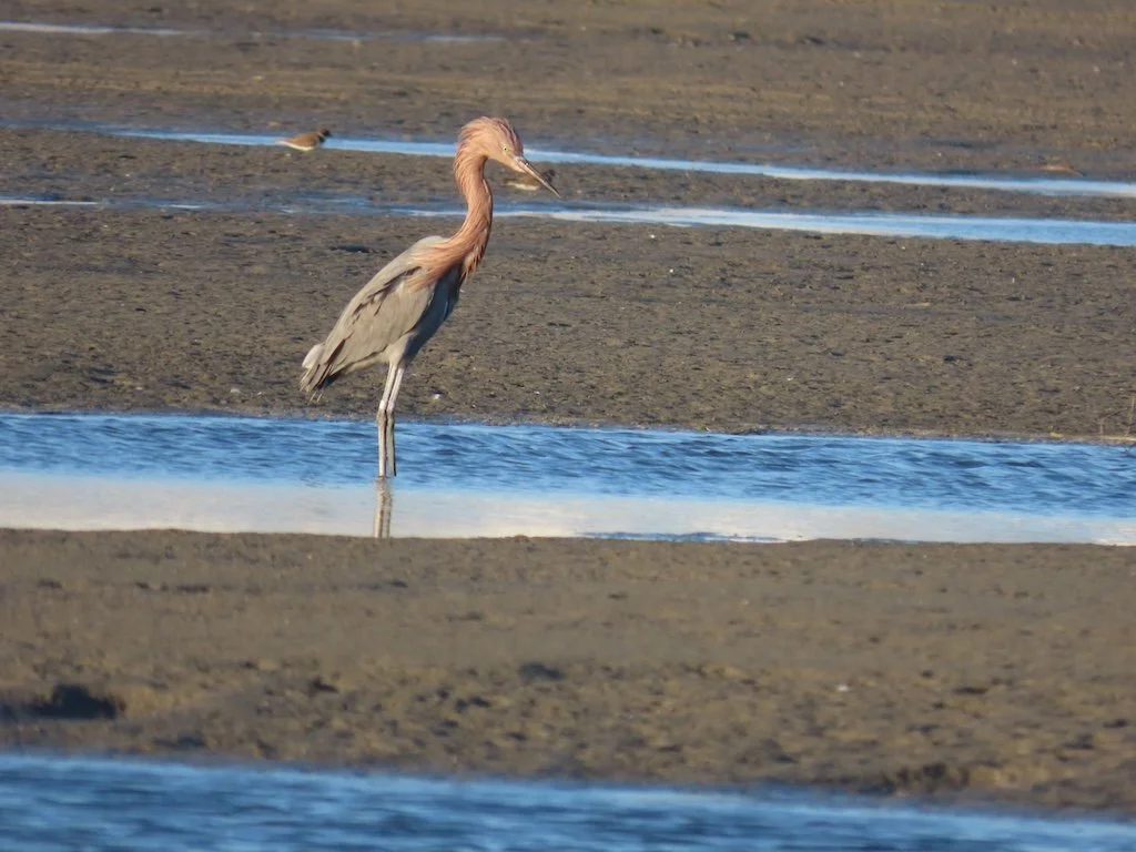 IMG_6459 2025 11.jPG