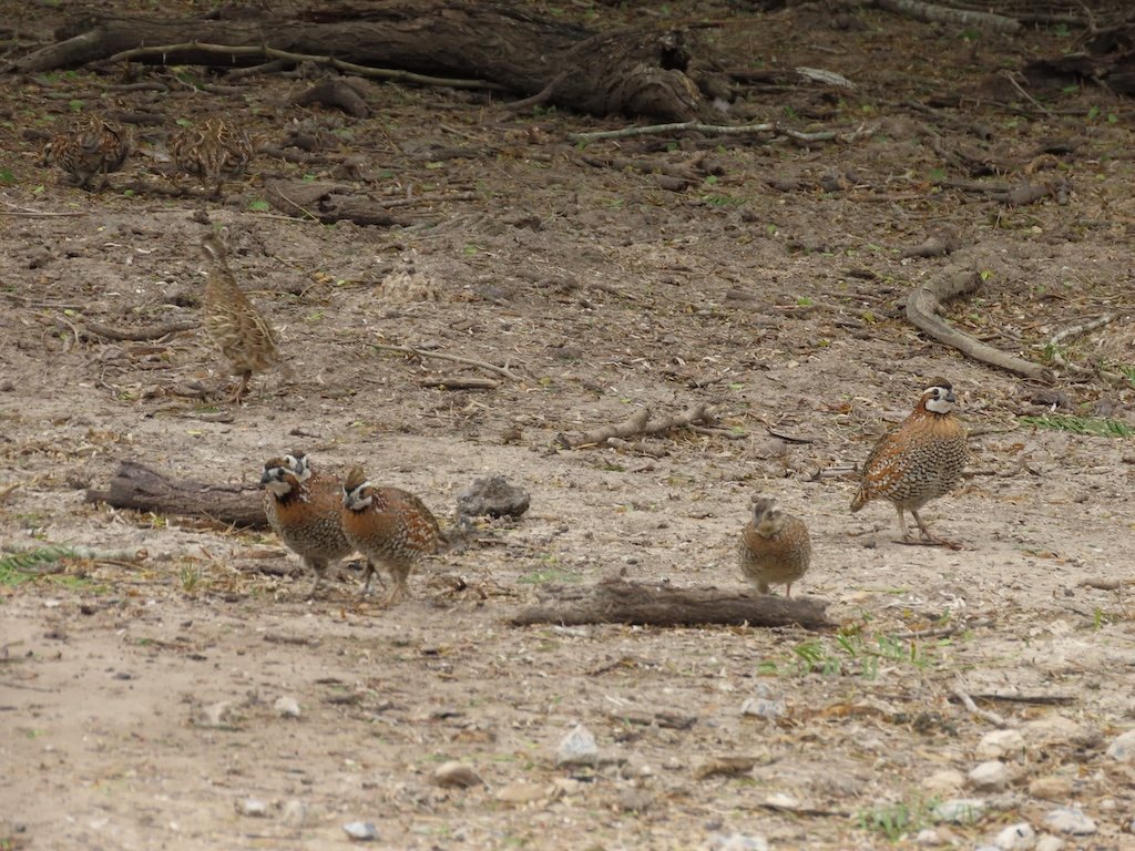 IMG_7139 2025 11.jPG