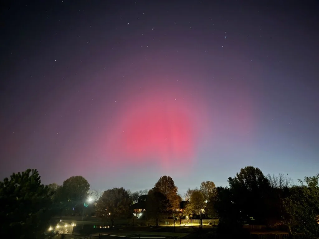 IMG_2832 2025 11.jpeg