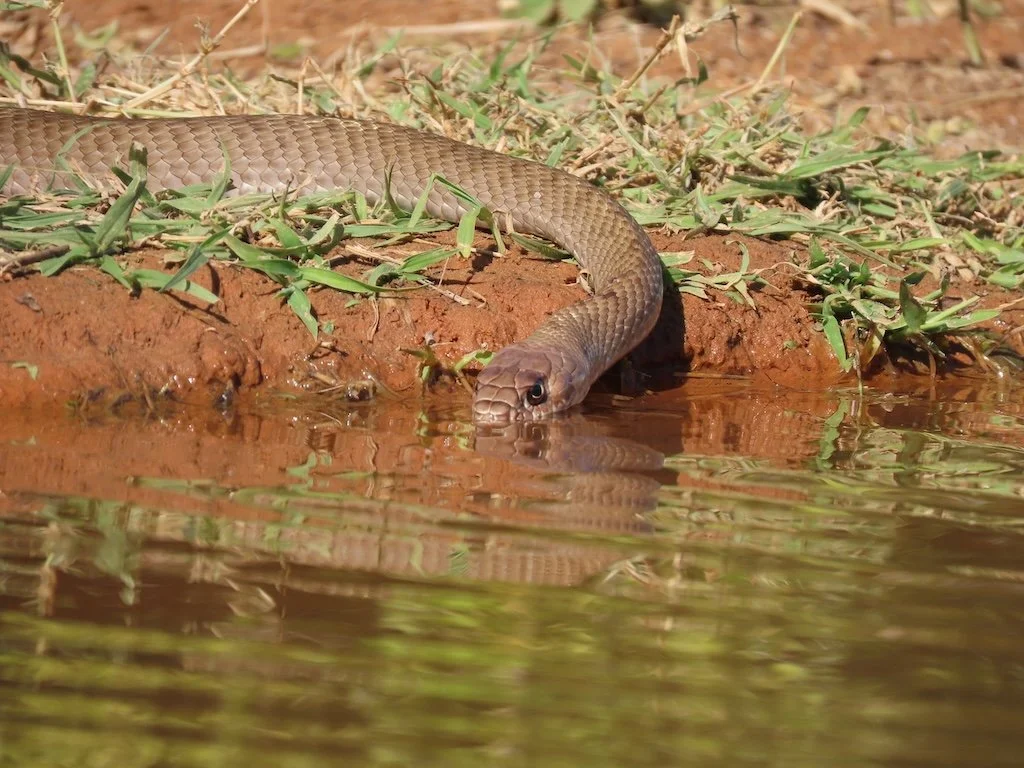 IMG_3689 2025 11.jPG