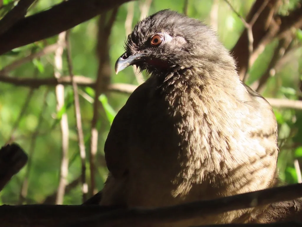 IMG_4446 2025 11.jPG