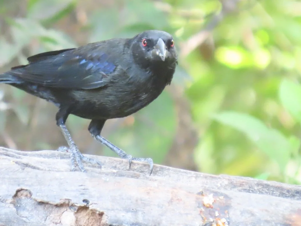 IMG_4637 2025 11.jPG