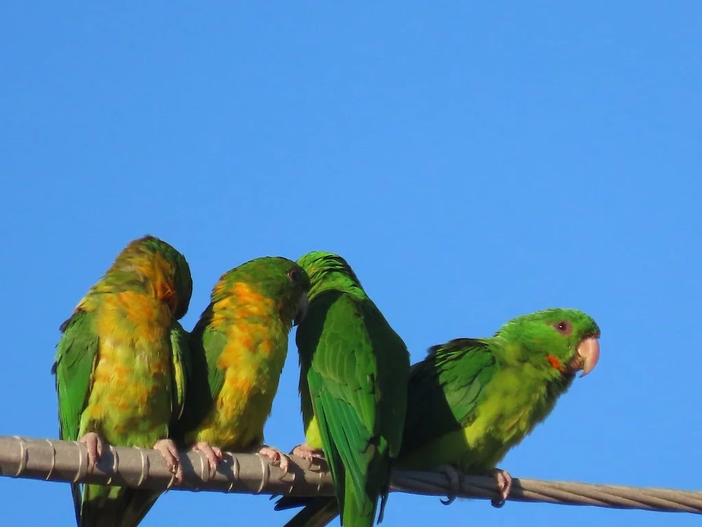 IMG_4969 2025 11.jPG