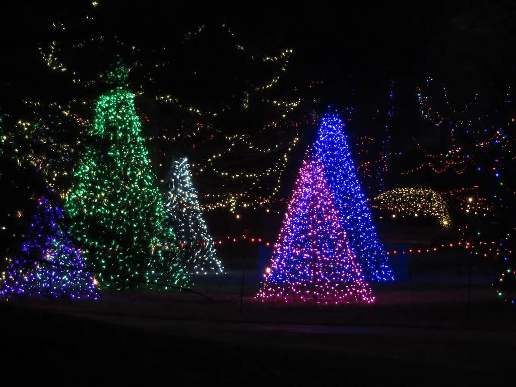 IMG_8804 2025 12.jPG