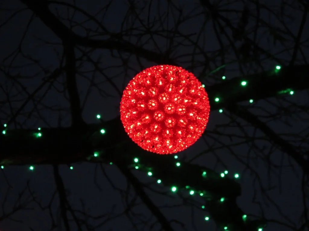 IMG_8806 2025 12.jPG