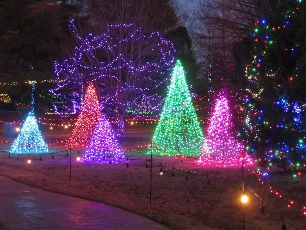 IMG_8808 2025 12.jPG