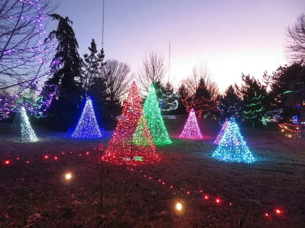 IMG_8816 2025 12.jPG