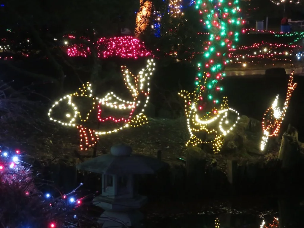 IMG_8829 2025 12.jPG